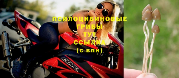 героин Алексин