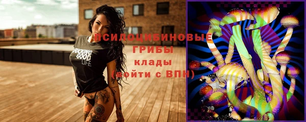 дмт Алзамай