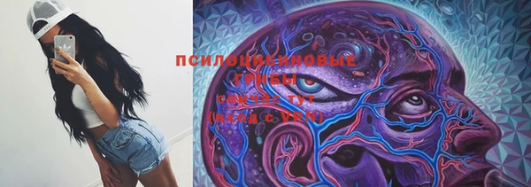 дмт Алзамай