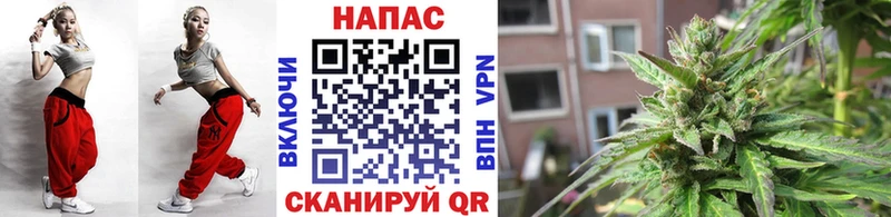 Бошки Шишки MAZAR  Невинномысск 